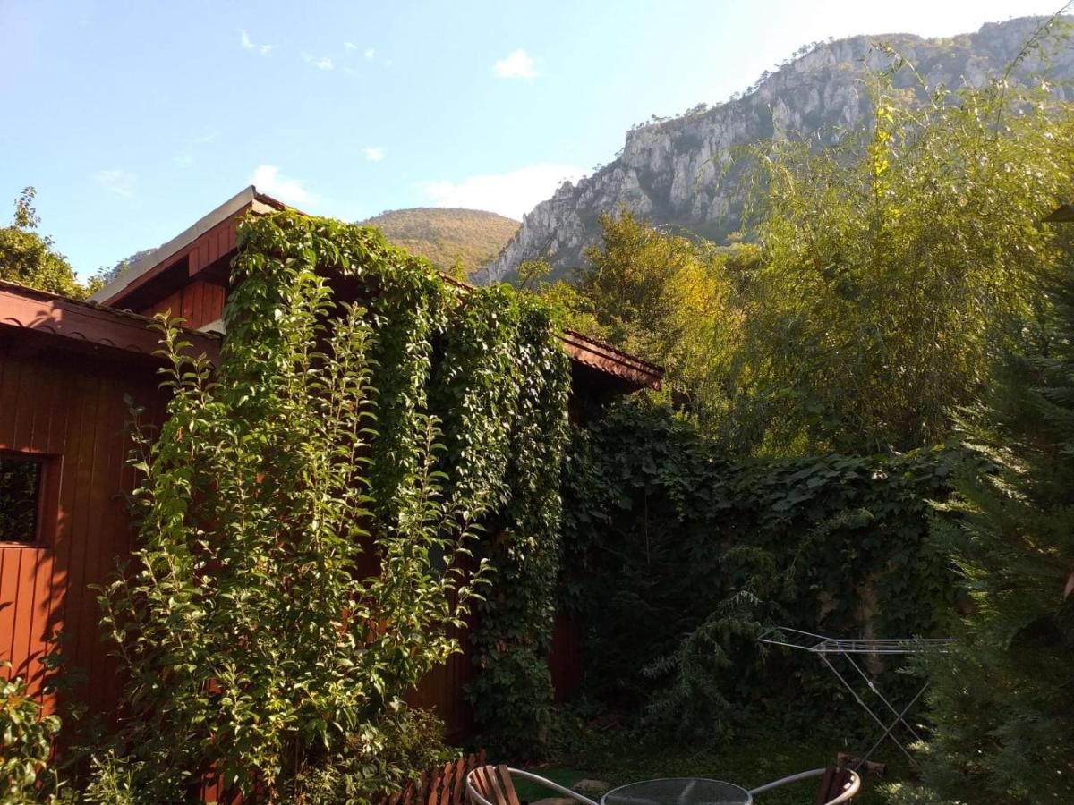 Pension Eden Băile Herculane Exterior foto