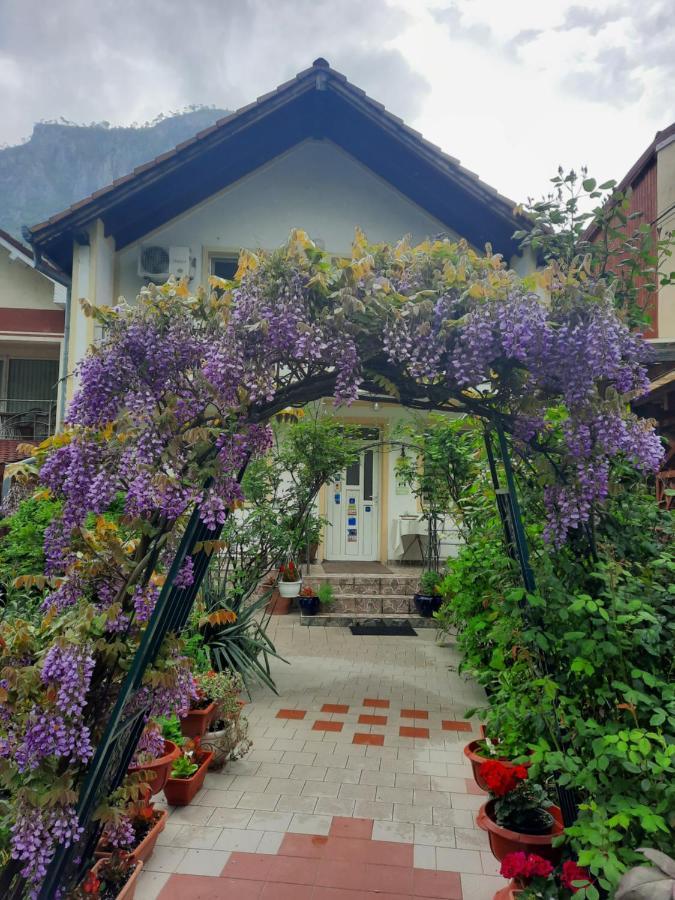 Hotel Pension Eden Băile Herculane Exterior foto