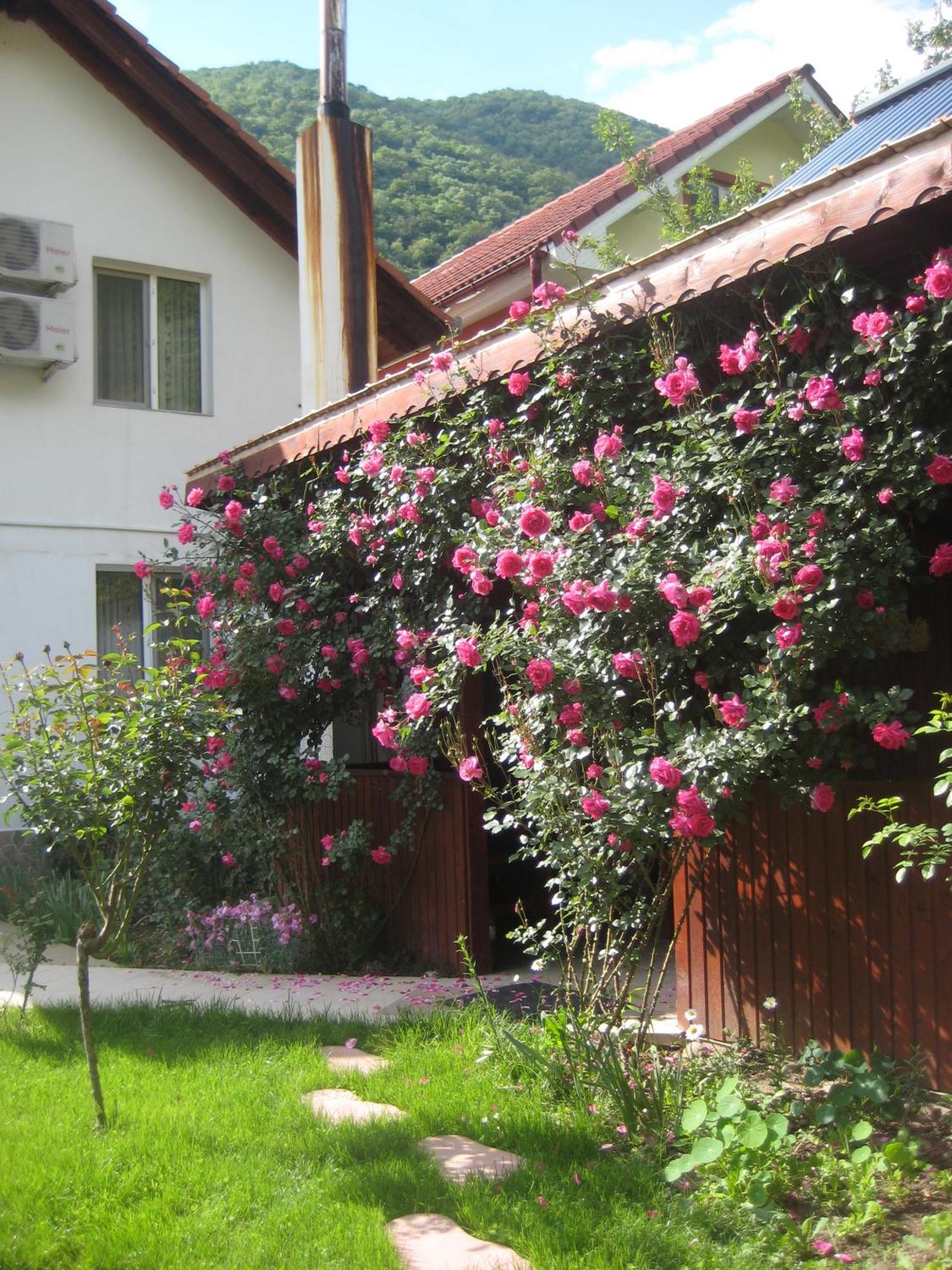 Pension Eden Băile Herculane Exterior foto