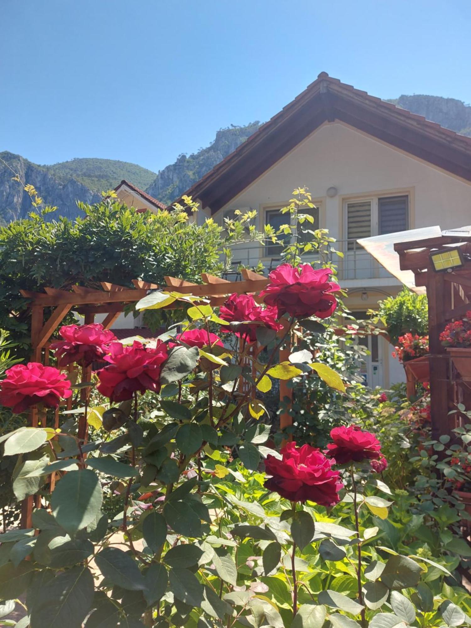 Pension Eden Băile Herculane Exterior foto