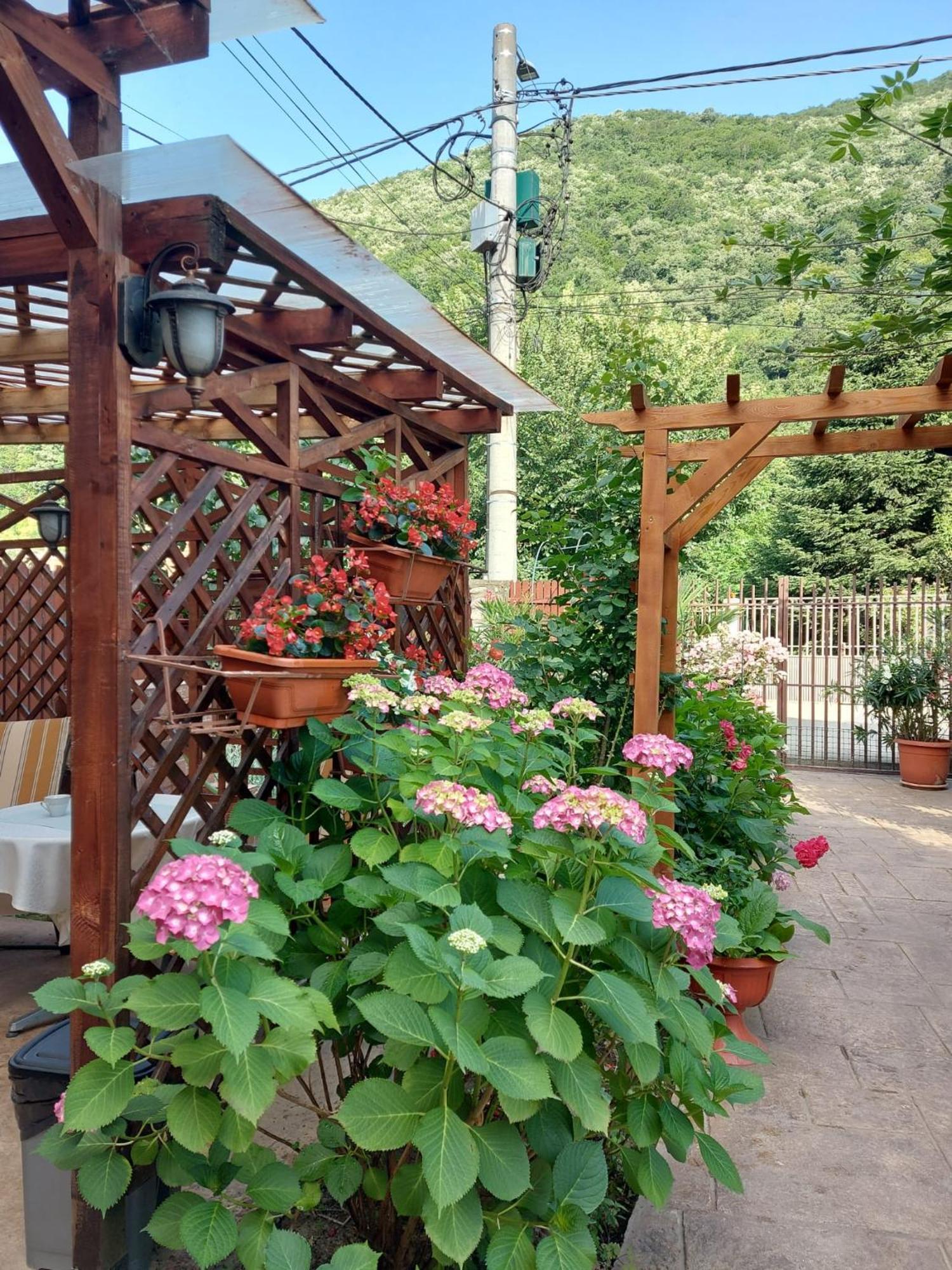Pension Eden Băile Herculane Exterior foto