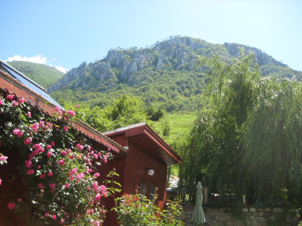 Hotel Pension Eden Băile Herculane Exterior foto